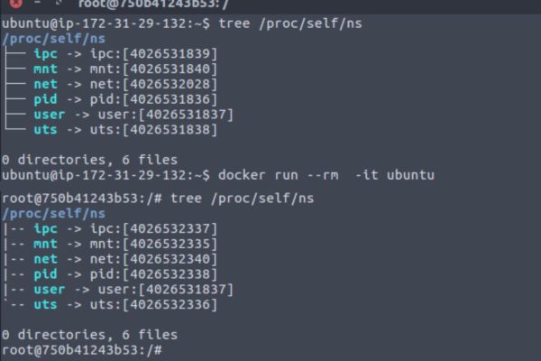 docker namespaces
