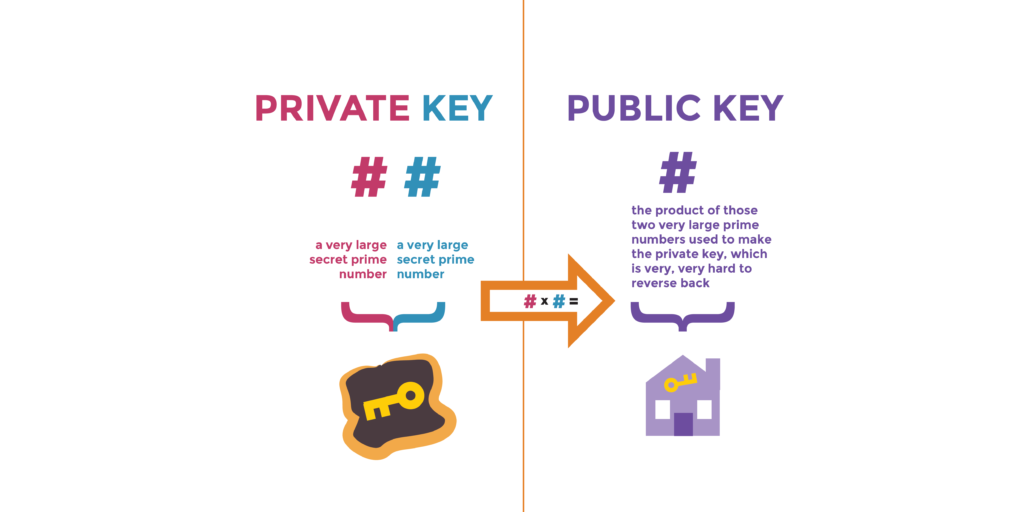 crypto publich key database