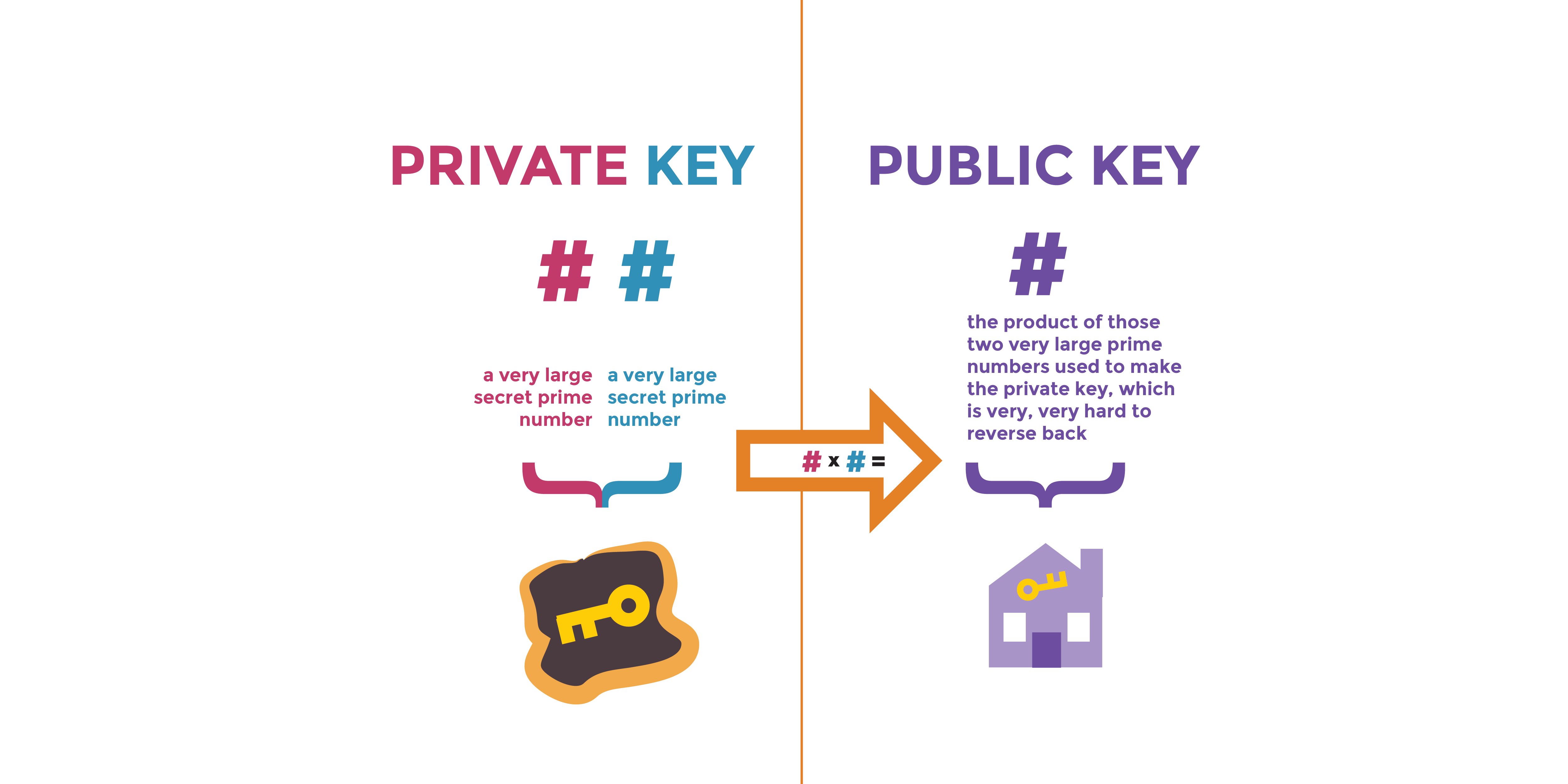 how to find public key from blockchain not hashed